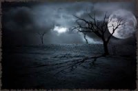 /album/galerie-photos/nuit-jpg/